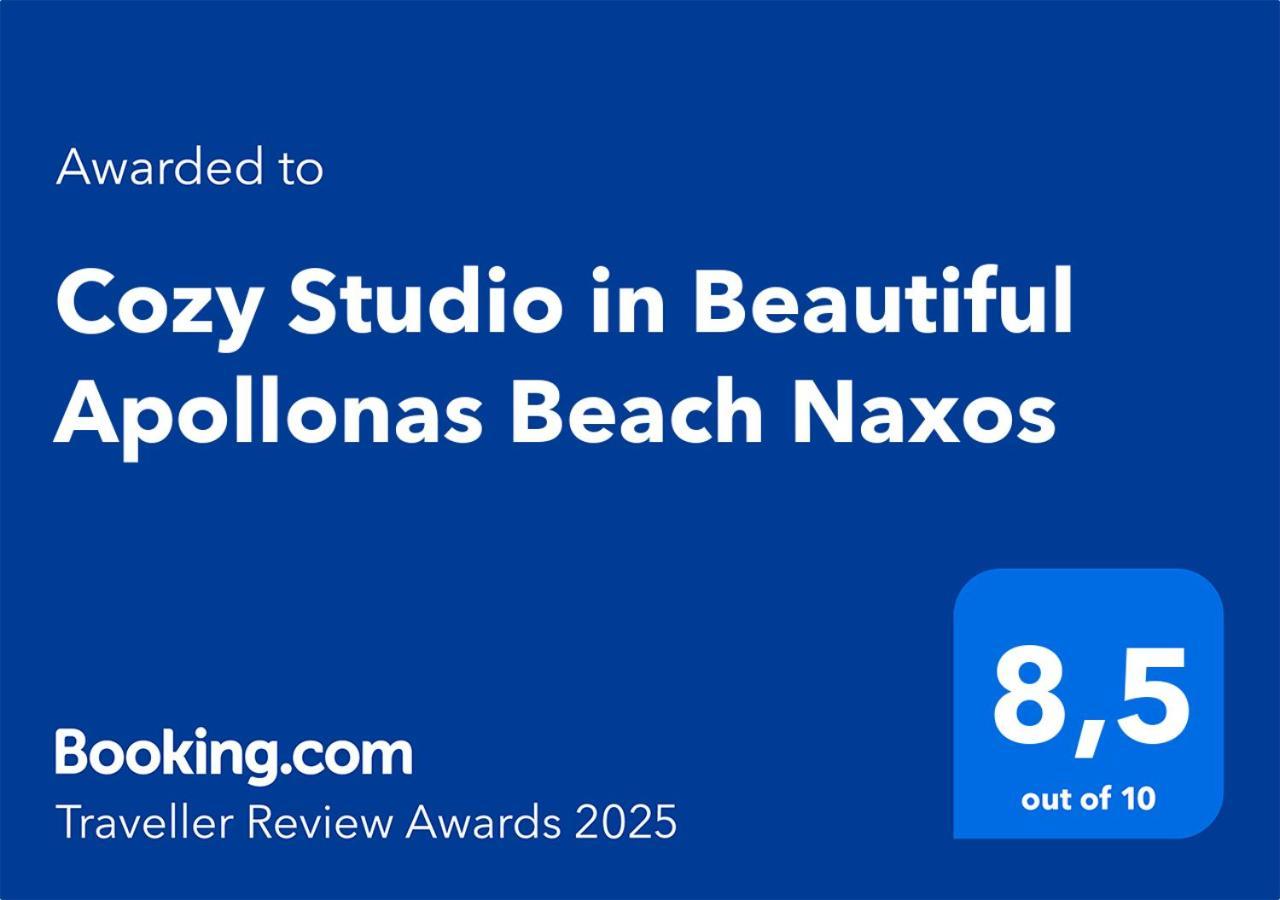 Cozy Studio In Beautiful Apollonas Beach Naxos Apollon  Extérieur photo